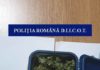 Cercetați pentru trafic de droguri de risc și mare risc