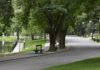 Liber la plimbări prin parc
