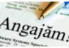 242 locuri de muncă vacante în Spaţiul Economic European