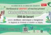 Prima campanie de sterilizare gratuită a câinilor cu stăpân din Craiova